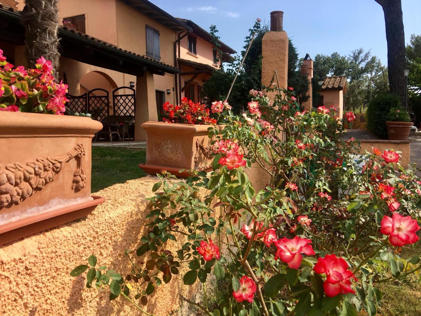 Agriturismo Terranera سكانسانو المظهر الخارجي الصورة