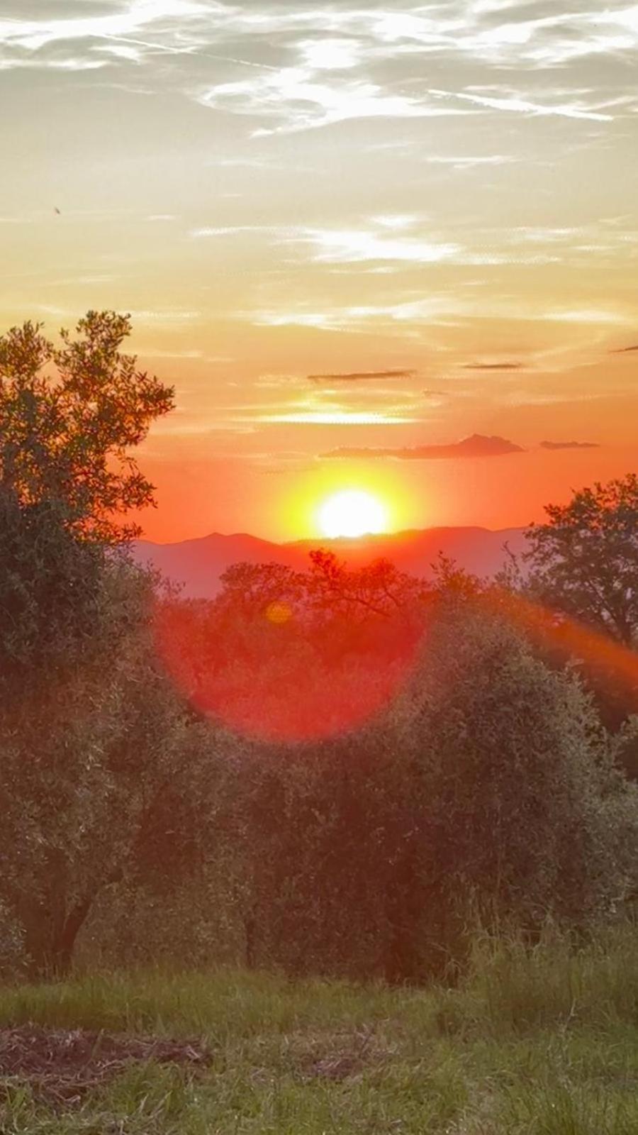 Agriturismo Terranera سكانسانو المظهر الخارجي الصورة