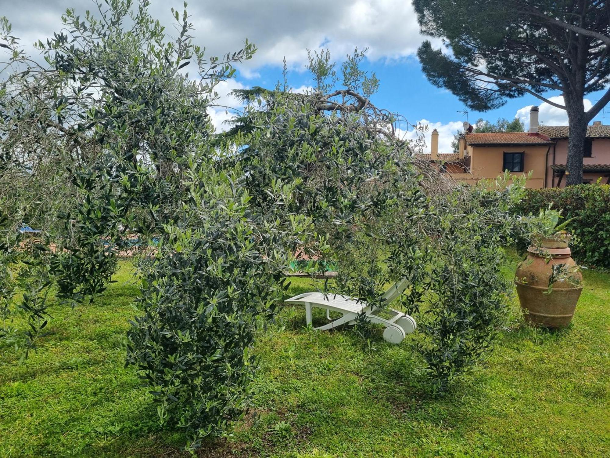 Agriturismo Terranera سكانسانو المظهر الخارجي الصورة
