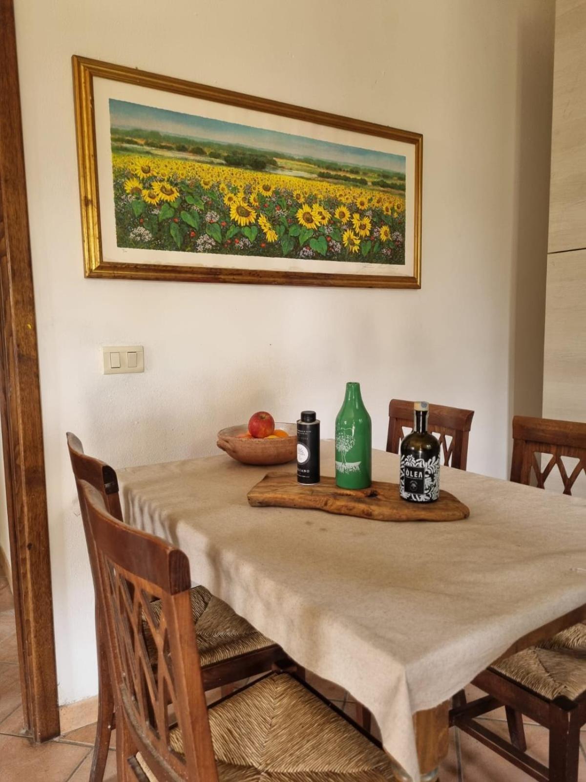 Agriturismo Terranera سكانسانو المظهر الخارجي الصورة