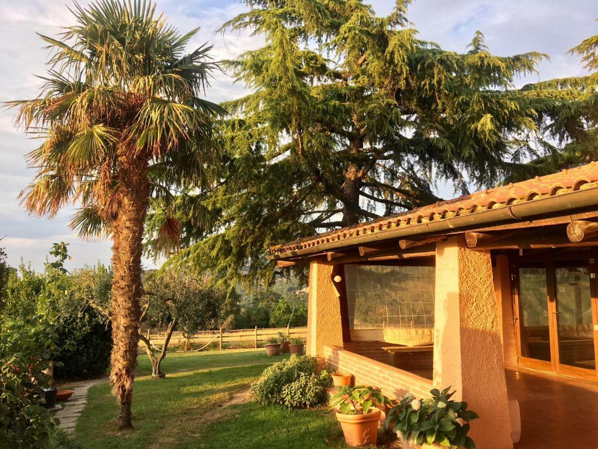 Agriturismo Terranera سكانسانو المظهر الخارجي الصورة