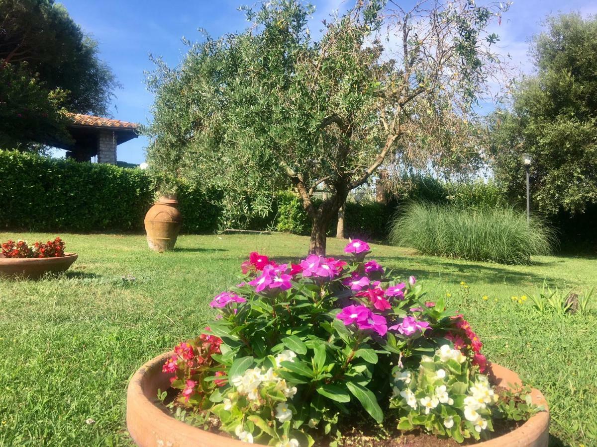 Agriturismo Terranera سكانسانو المظهر الخارجي الصورة